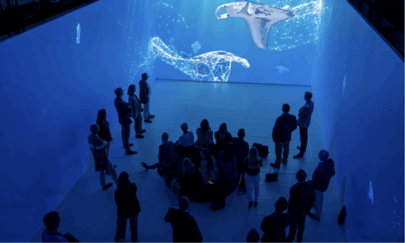 humans in an immersive exhibiton room